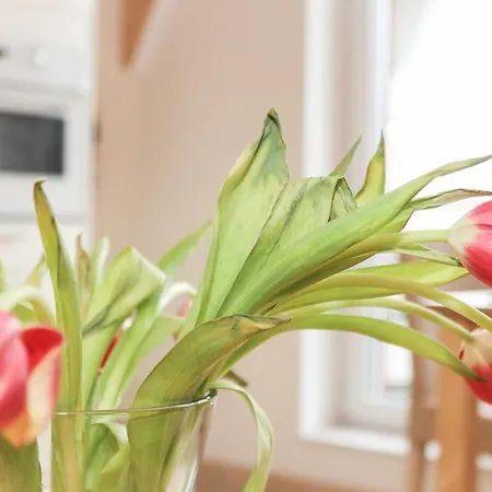 Logierhaus-greetsiel 3 Lejlighed Greetsiel