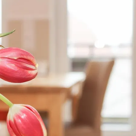 Logierhaus-greetsiel 3