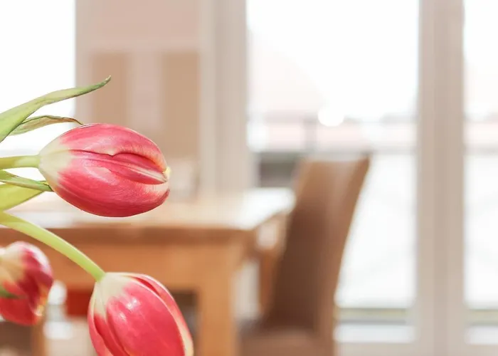 Logierhaus-greetsiel 3